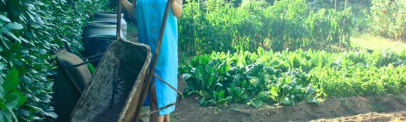 Gardening Safety